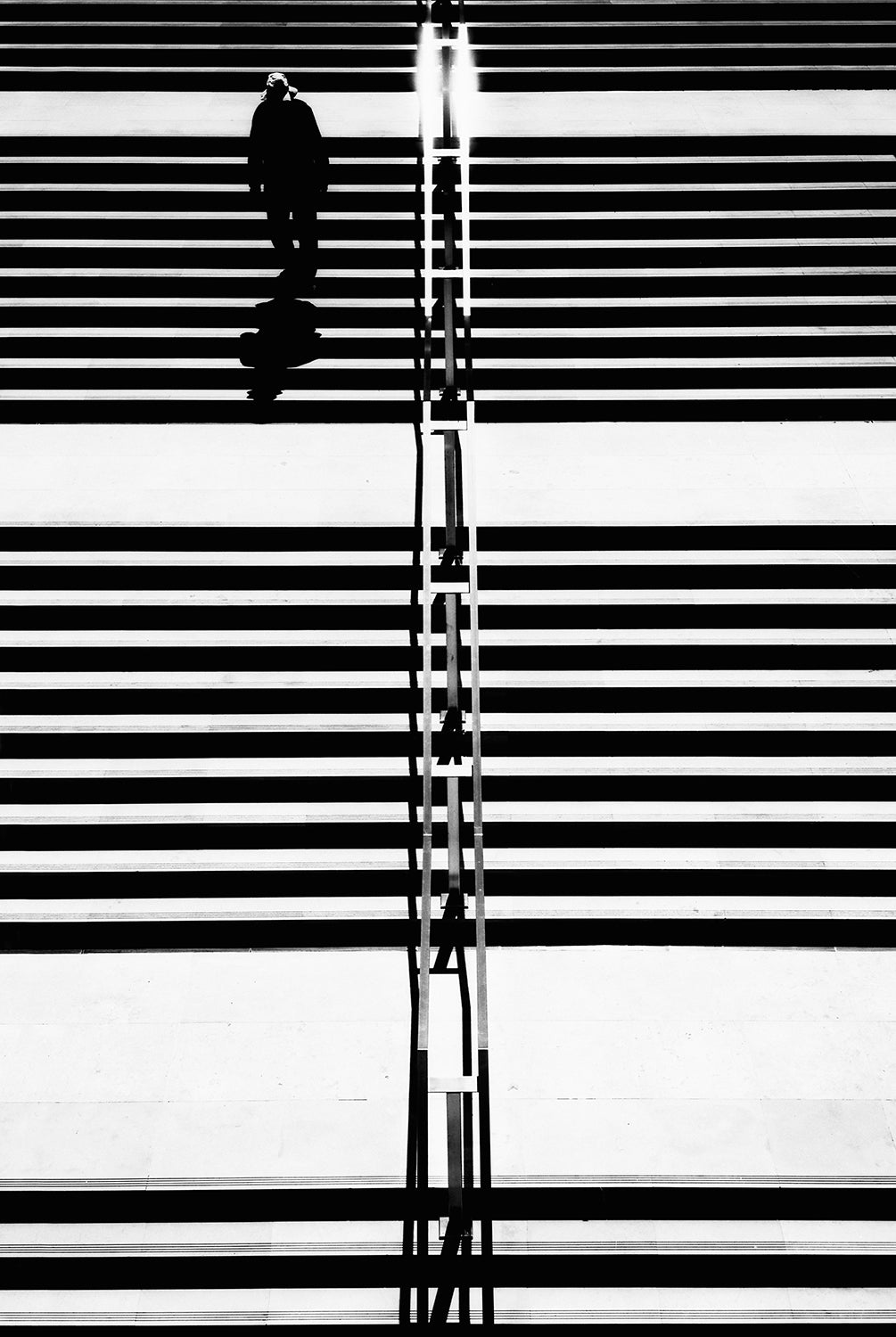 Descending Poster och Canvastavla