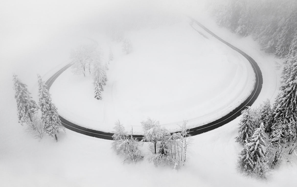 Road in the winter Poster och Canvastavla