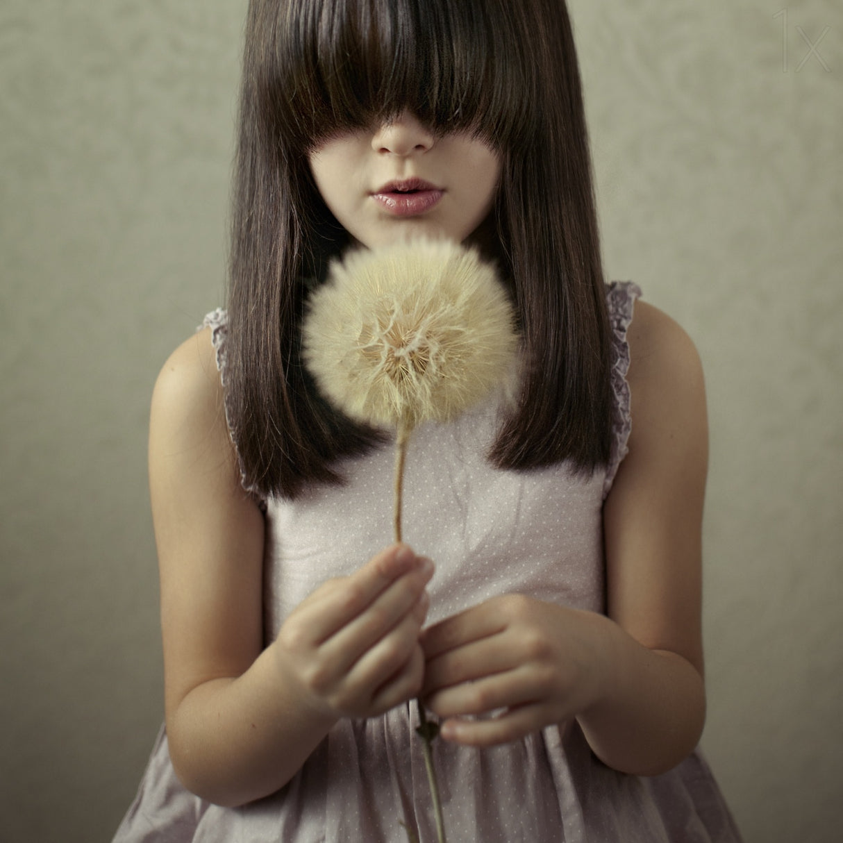 Secret Wishes Poster och Canvastavla