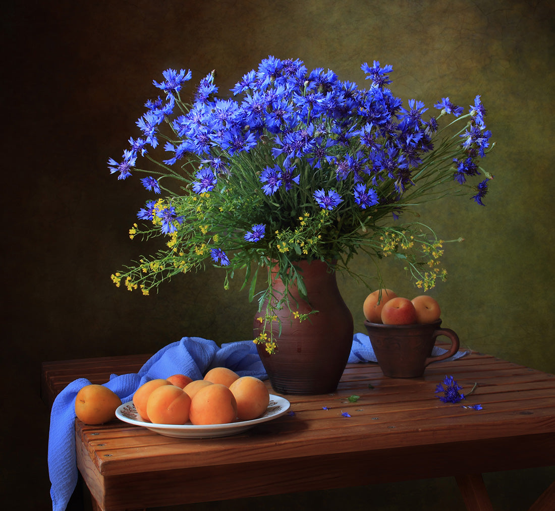 Still life with a bouquet of cornflowers and apricots Poster och Canvastavla