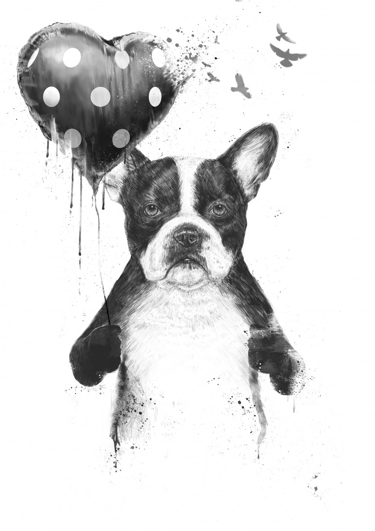 My heart goes boom Poster och Canvastavla