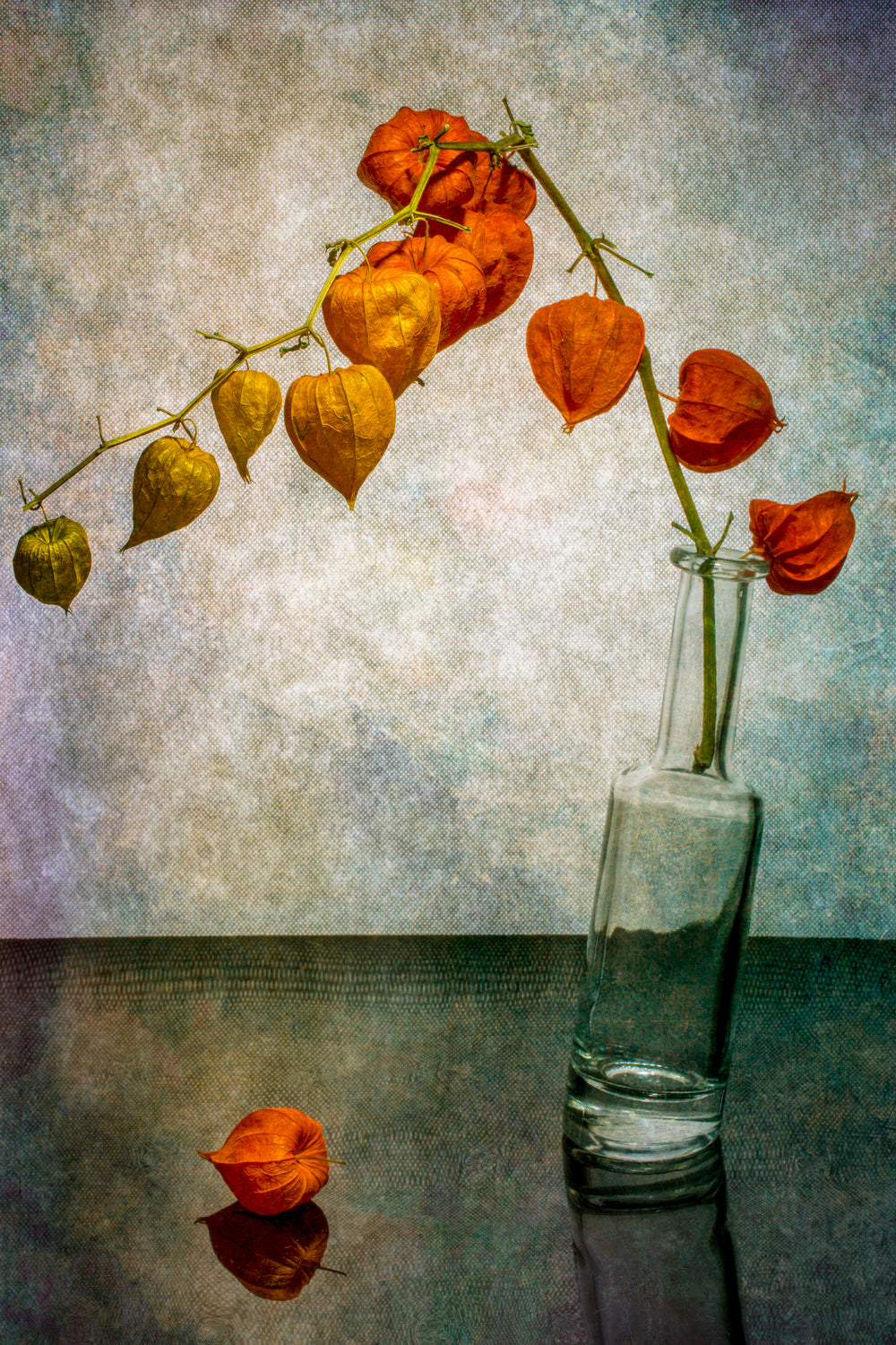 Still life with a branch of Physalis in a slanted bottle Poster och Canvastavla