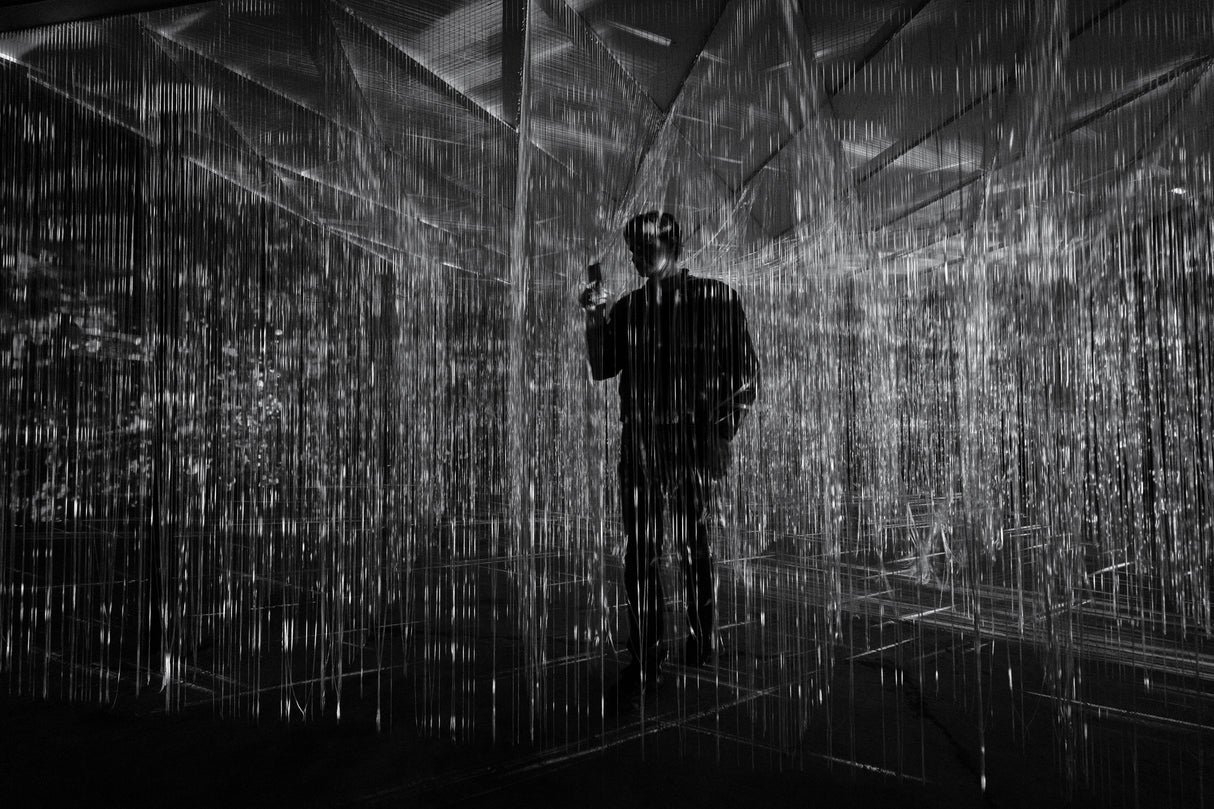 The shadow Poster och Canvastavla