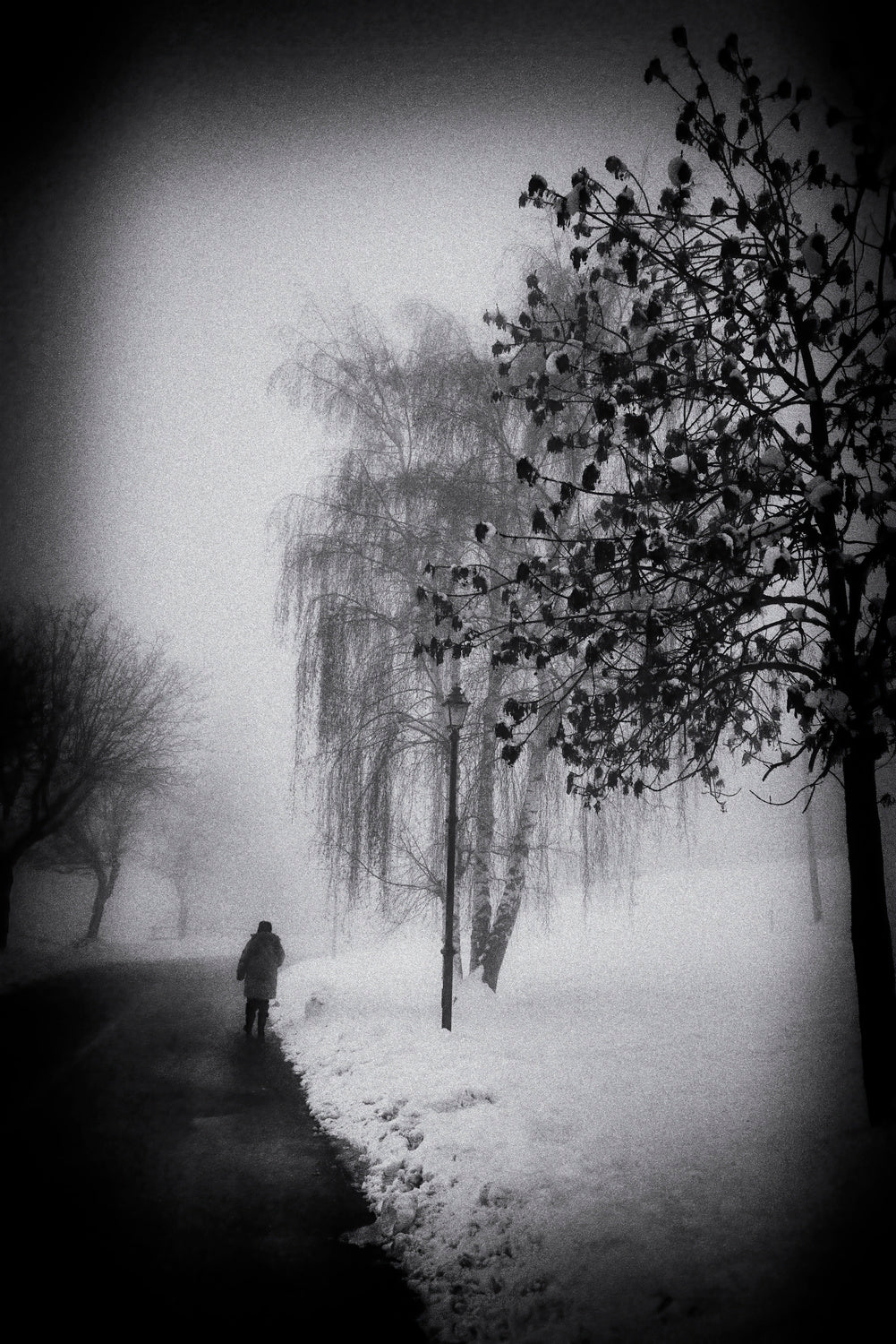 At slow steps in the cold morning Poster och Canvastavla
