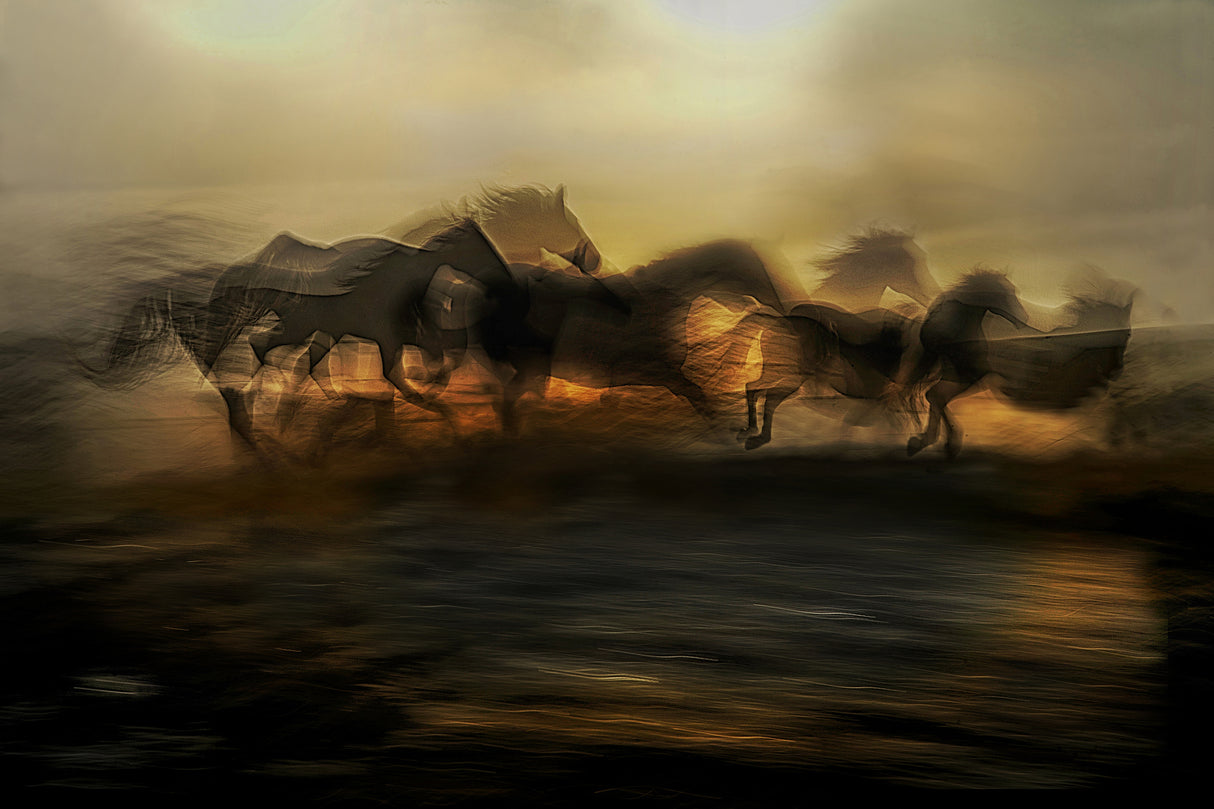 Evening dreams Poster och Canvastavla