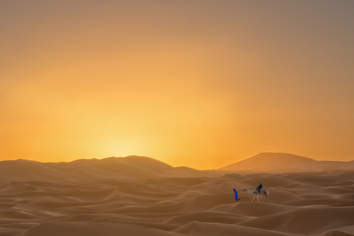 Sunrise in the Sahara Desert. Poster och Canvastavla