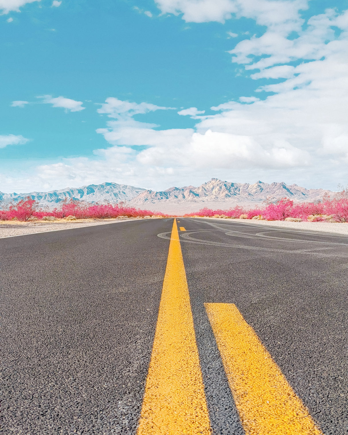 Road to Death Valley Poster och Canvastavla