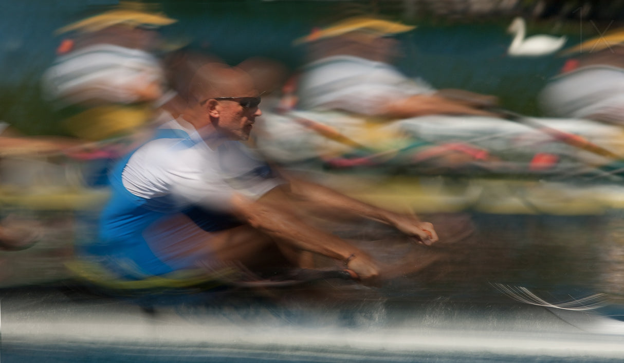 Swam race Poster och Canvastavla