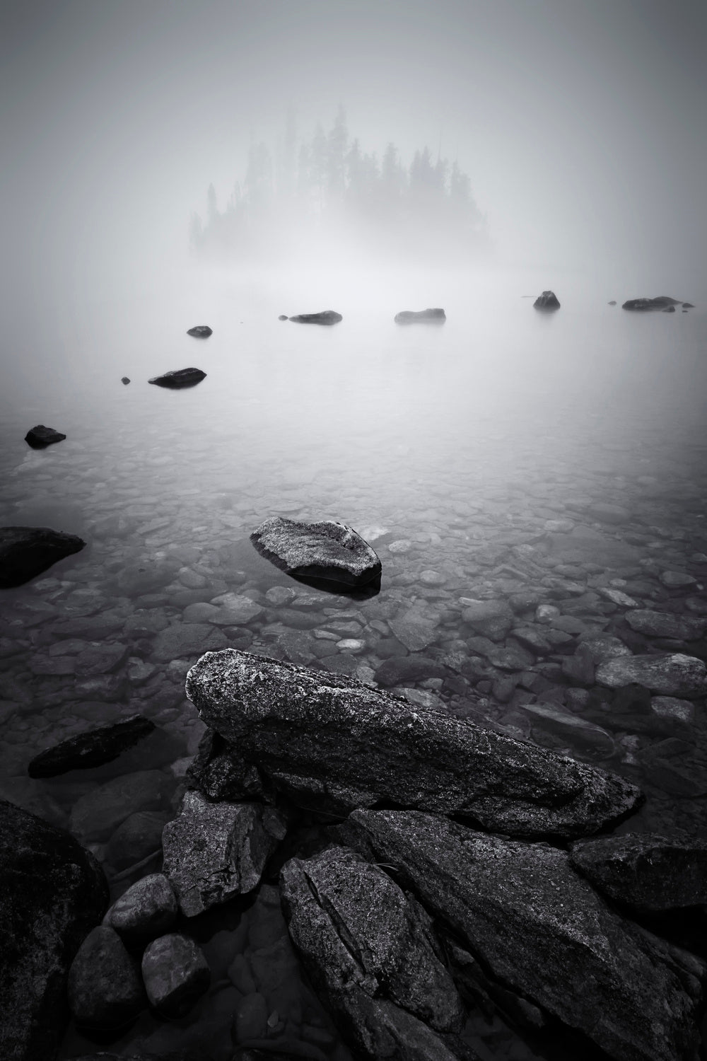 Misty Lake Poster och Canvastavla