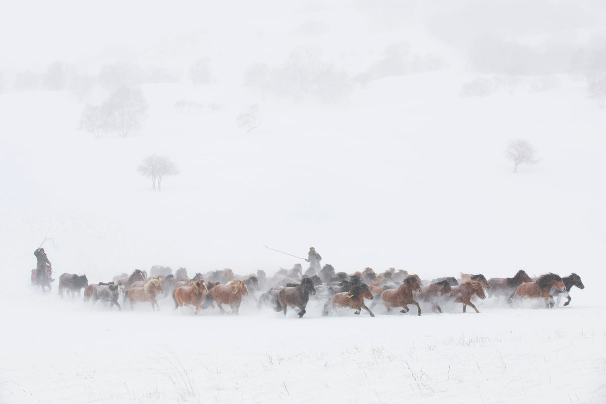 Winter Pastures Poster och Canvastavla