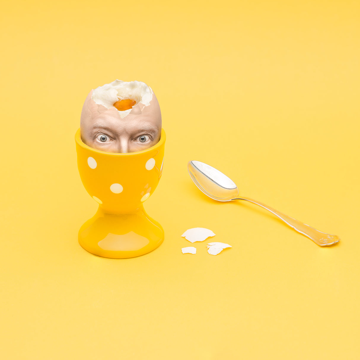 Egghead Poster och Canvastavla