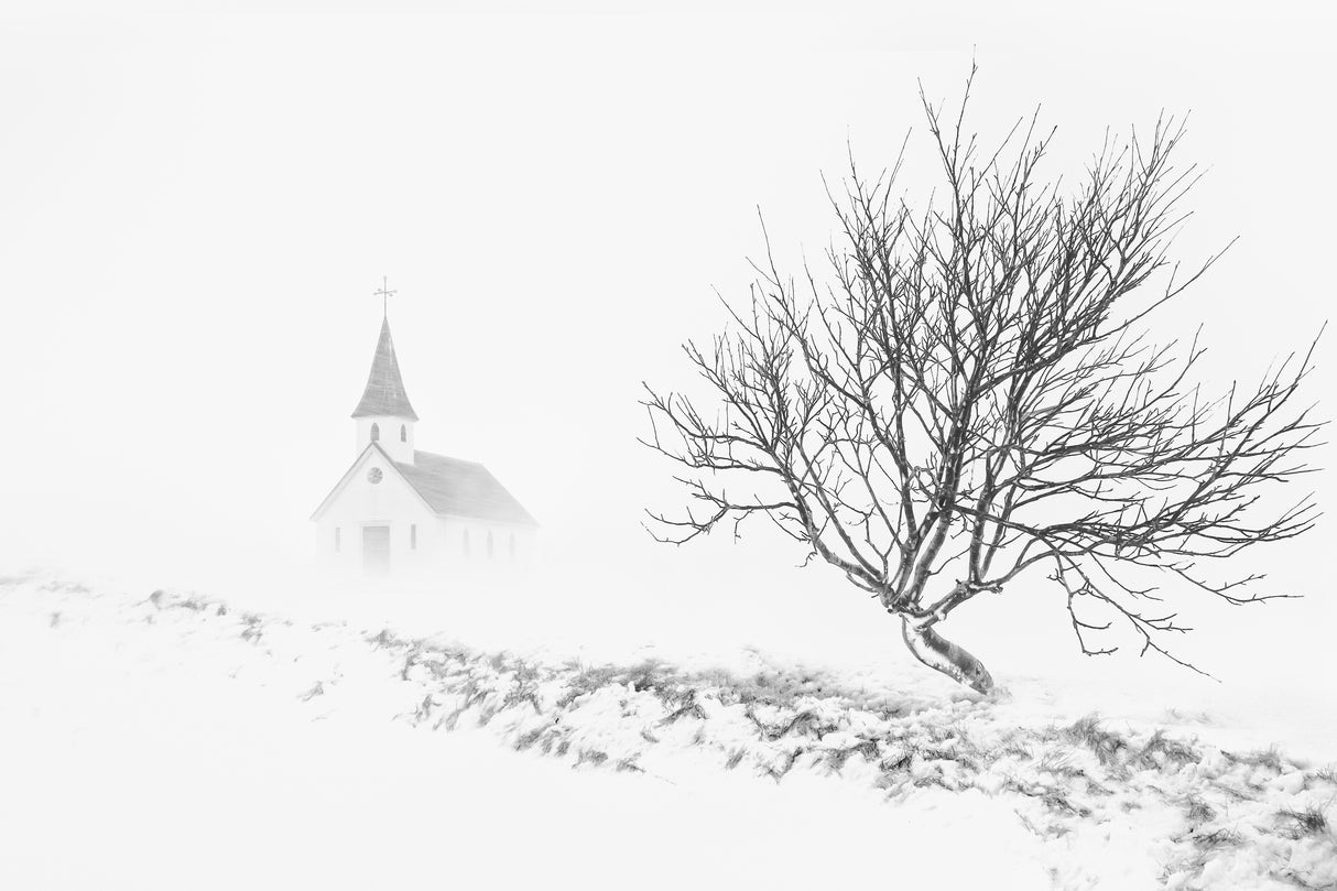 In Snowstorm Poster och Canvastavla