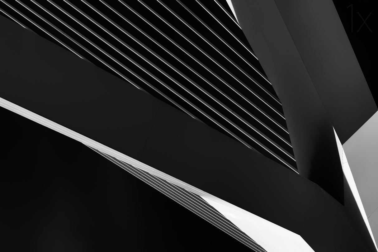 Abstraction of a swan Poster och Canvastavla