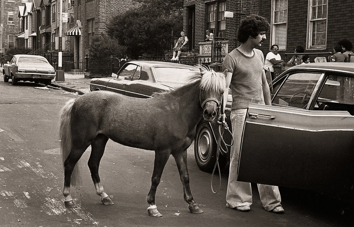 "Is He Really Trying to Fit Me in There Again?" Poster och Canvastavla