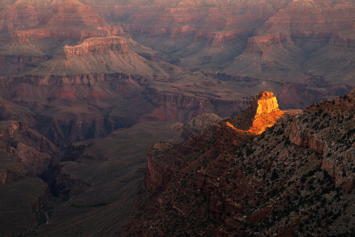 grand canyon sunrise Poster och Canvastavla