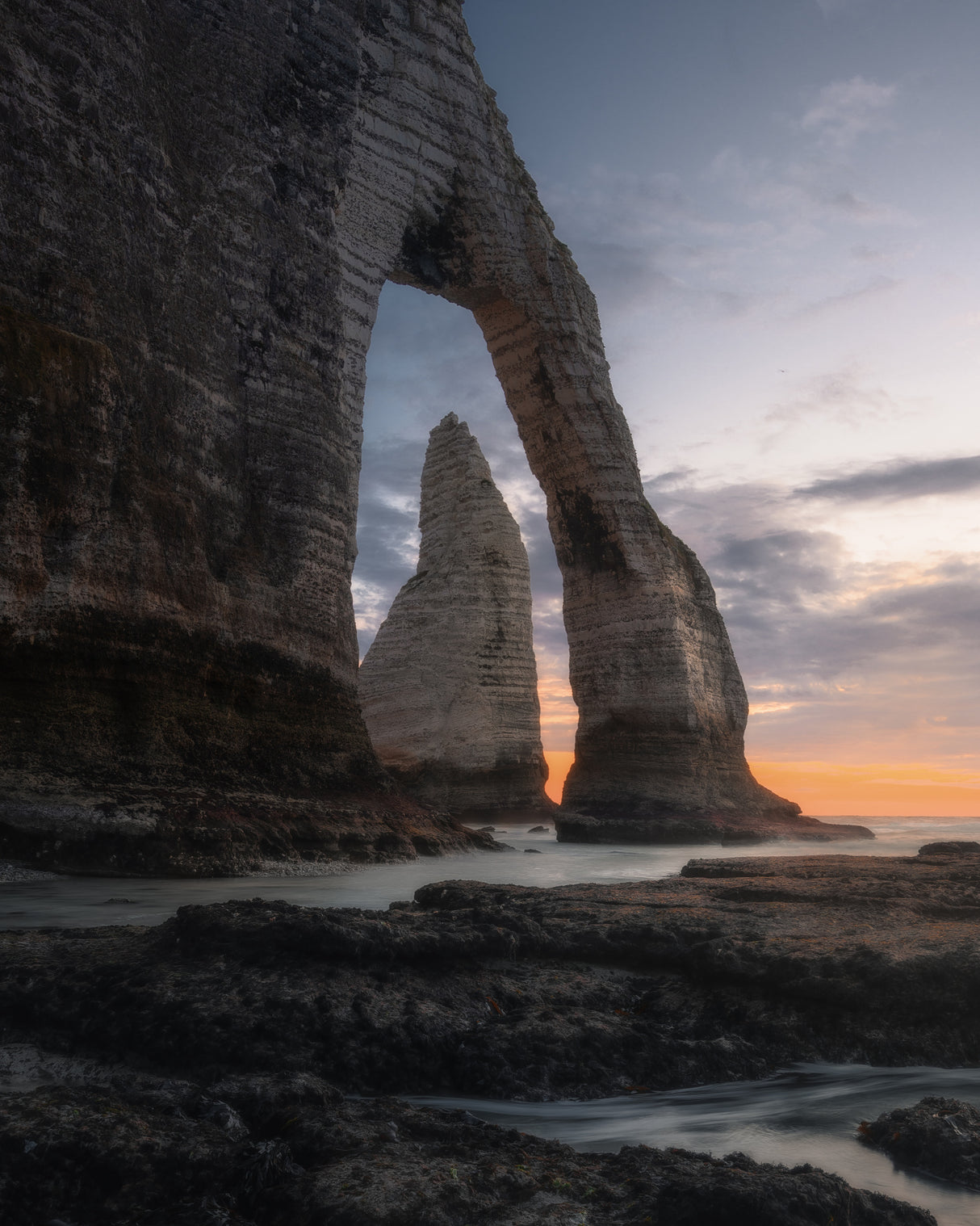 Nature's Art Poster och Canvastavla