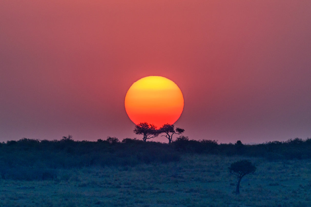 Equatorial sunset Poster och Canvastavla