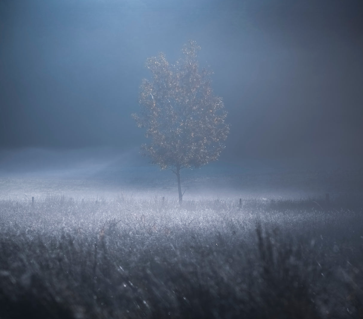 A memory of Light Poster och Canvastavla