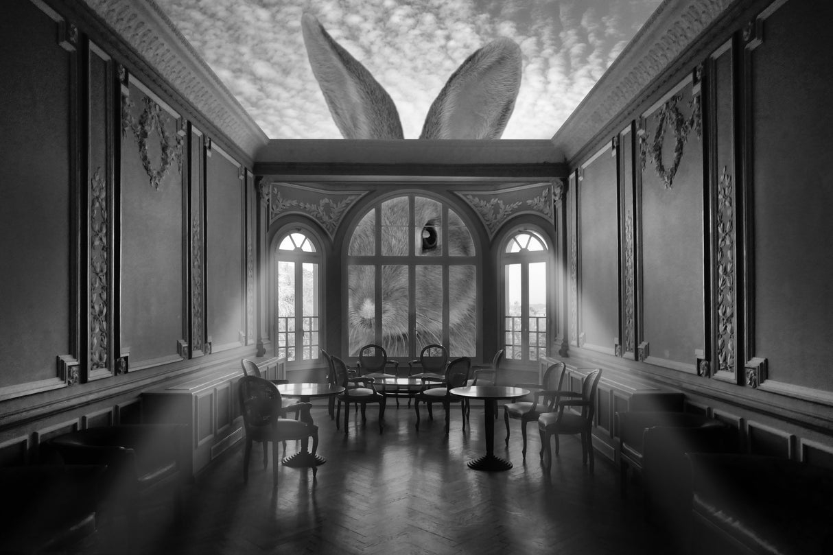 In a rabbits world Poster och Canvastavla