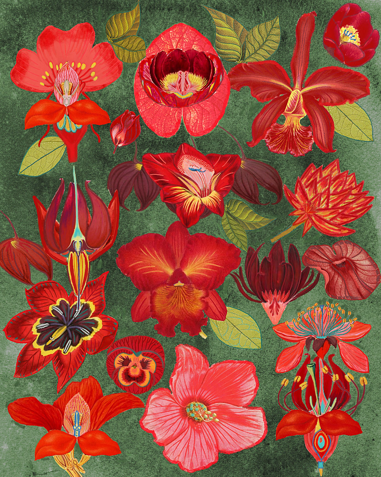 Final Eclectic Garden Copy 3.png Poster och Canvastavla