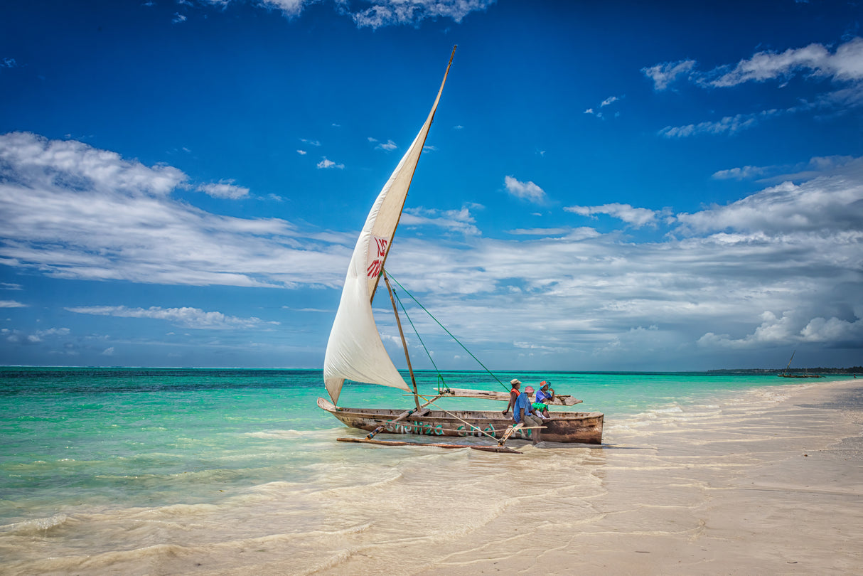 Zanzibar dhow Poster och Canvastavla