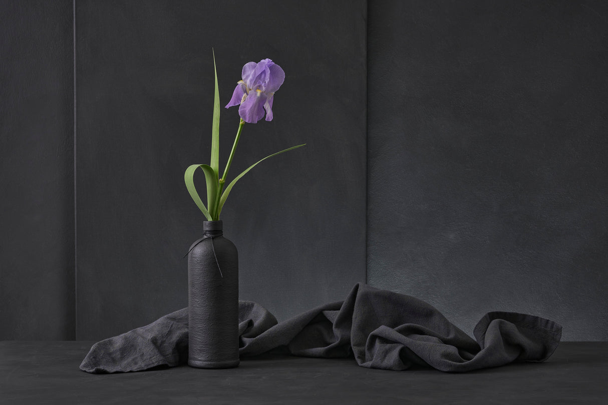 Iris Pallida Poster och Canvastavla