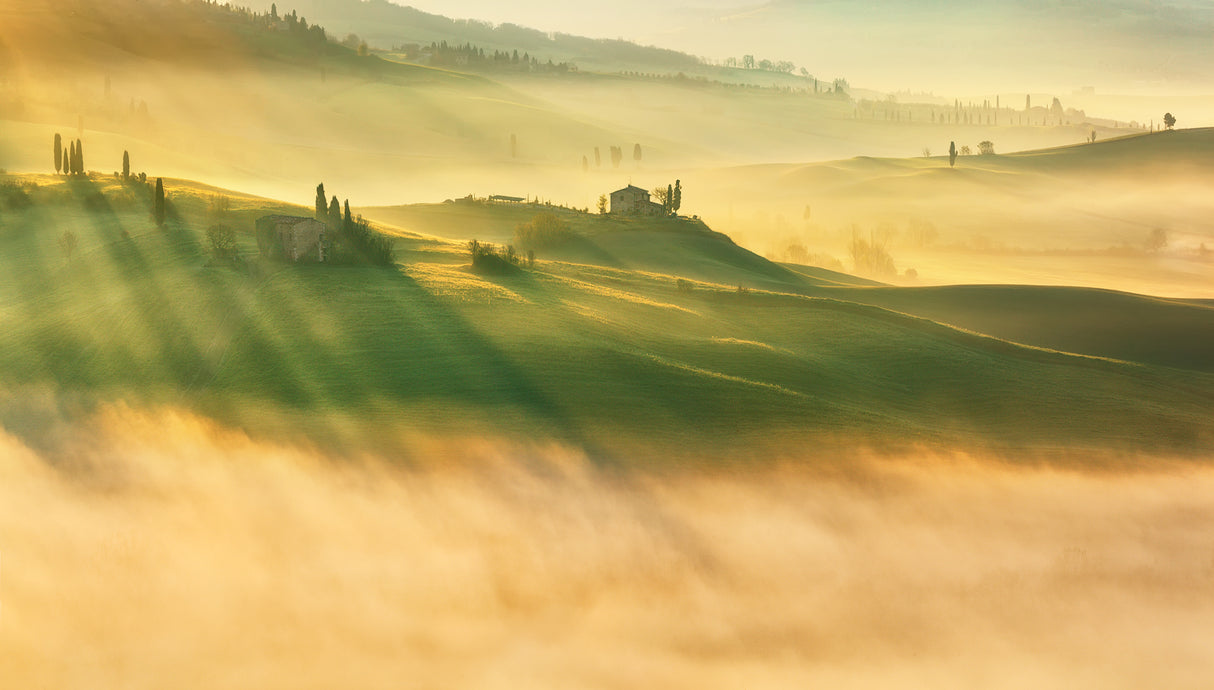 Foggy valley... Poster och Canvastavla