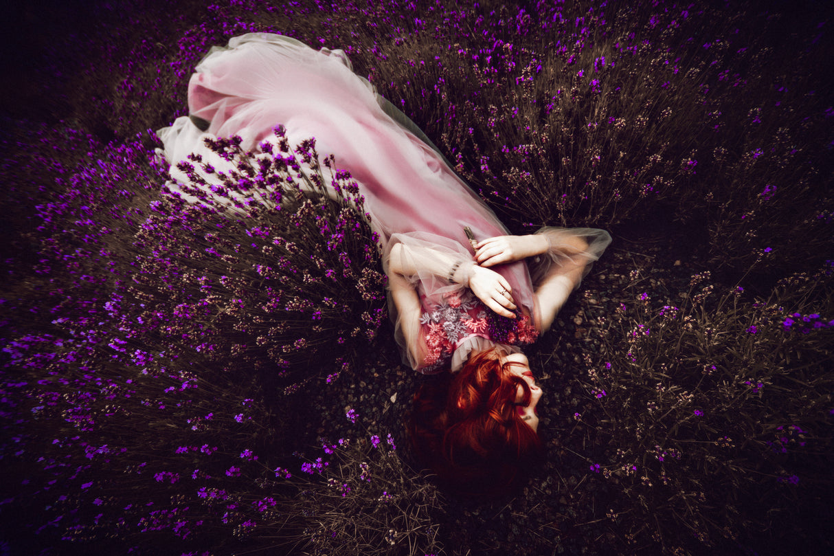 In dreams of lavender fields, dancing in the summer sun, is where I always find her Poster och Canvastavla