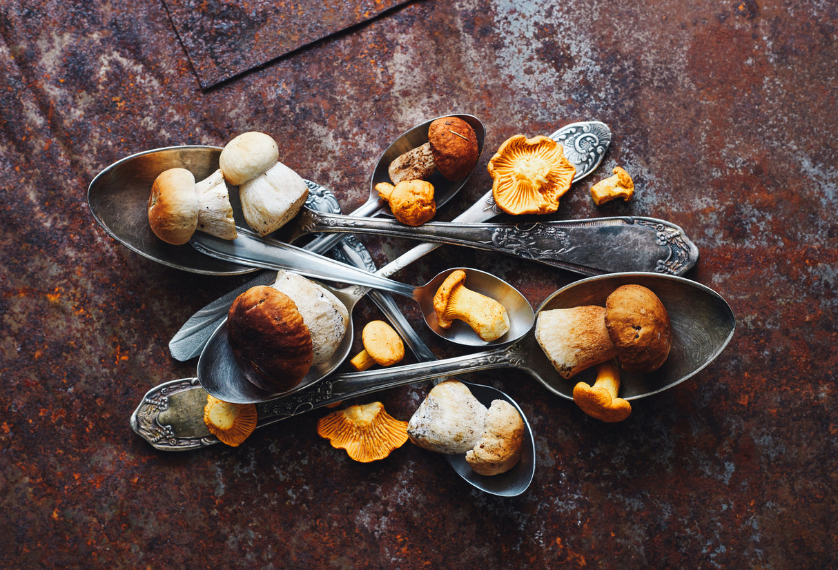 Spoons&Wild mushrooms Poster och Canvastavla
