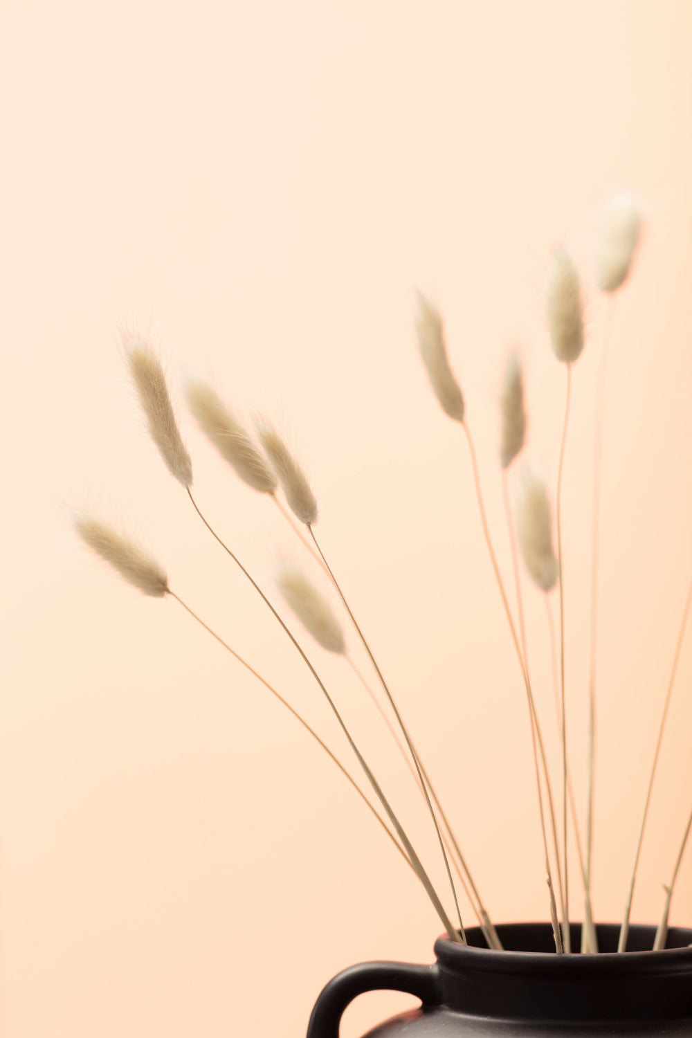 Bunny Grass Peach 01 Poster och Canvastavla