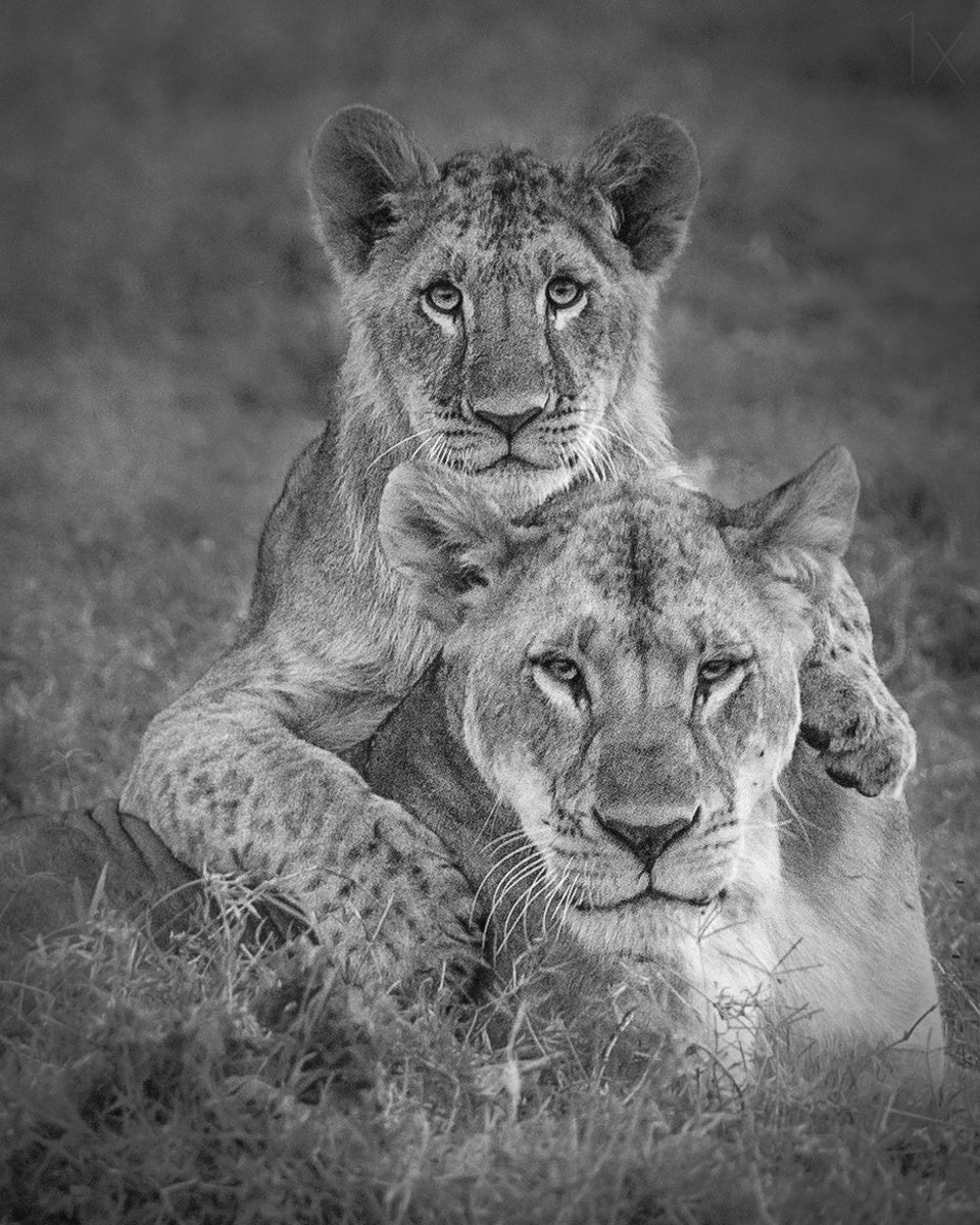 Playtime with Mama! Poster och Canvastavla