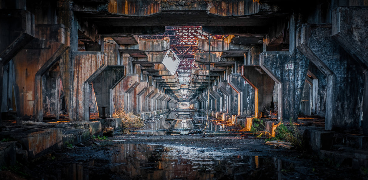 ...ex Sava Poster och Canvastavla