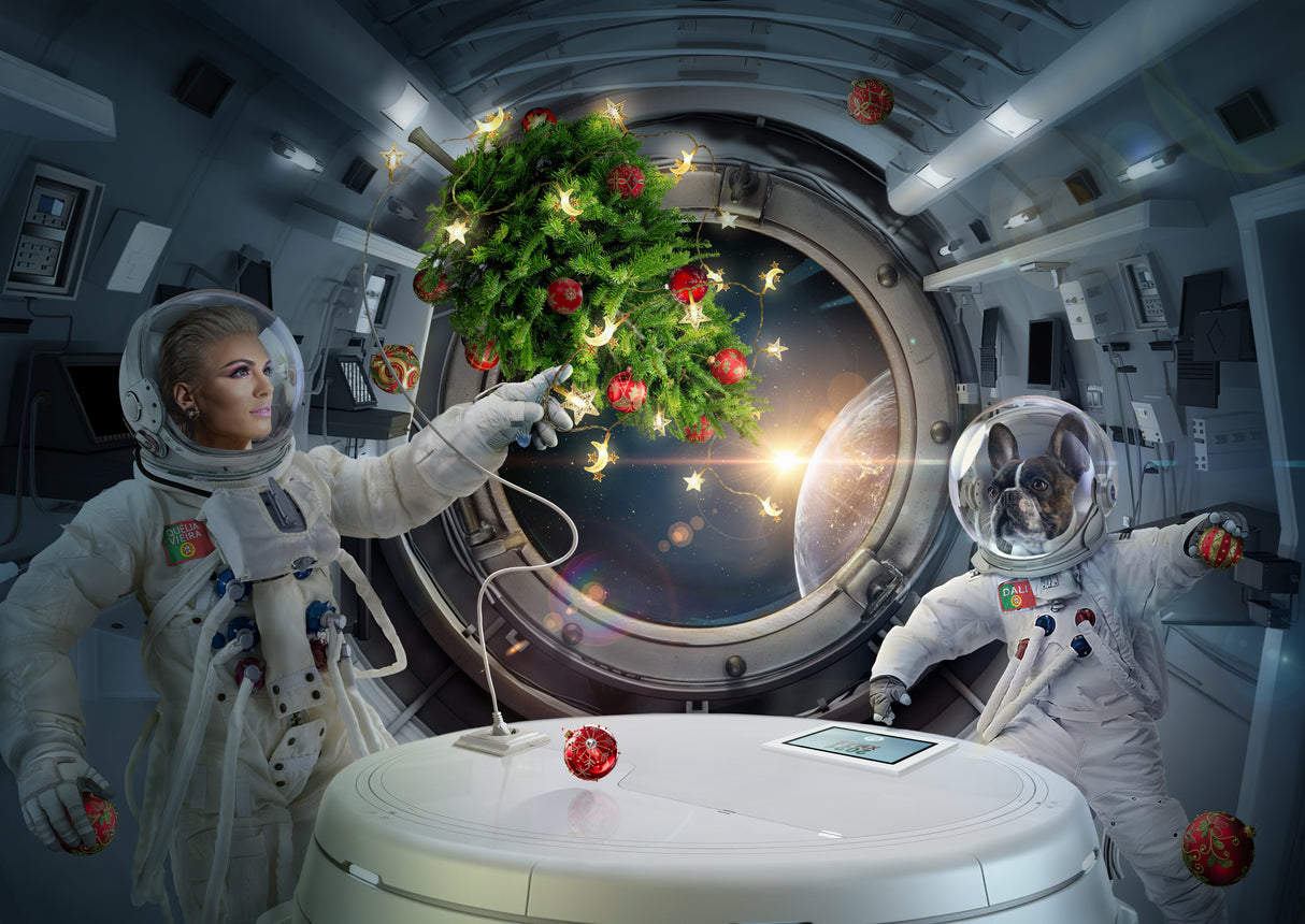 Xmas in Space Poster och Canvastavla