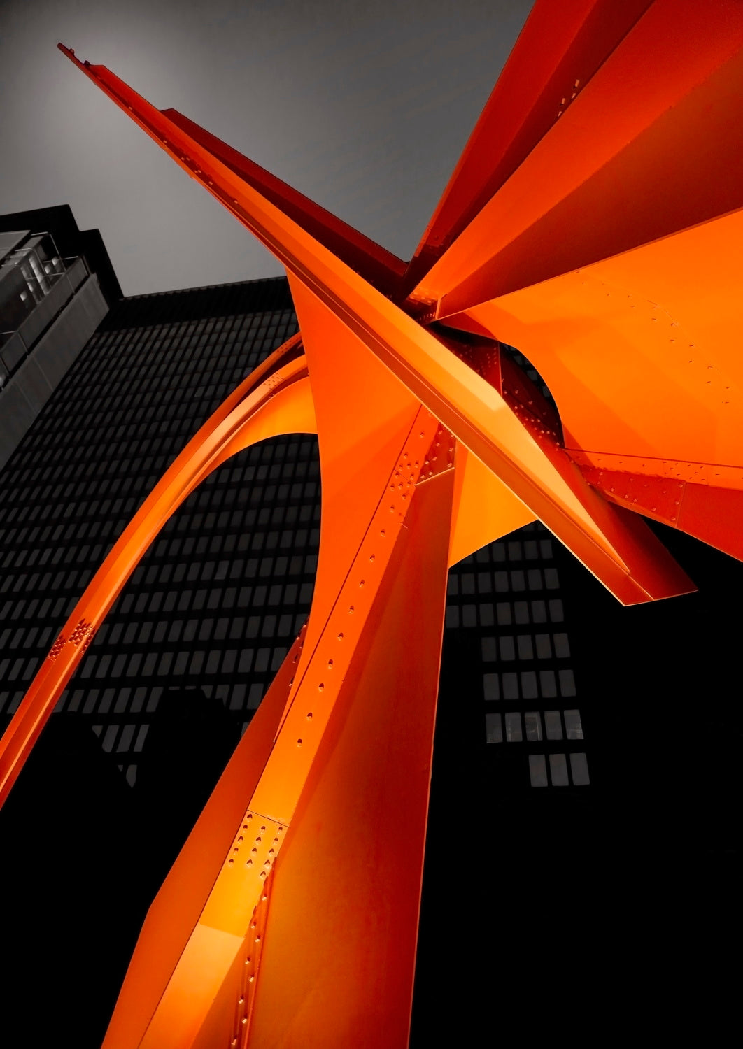 Chicago Flamingo Poster och Canvastavla