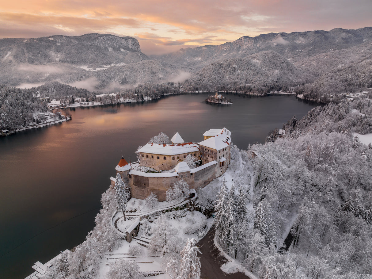 Lake Bled and the castle above it Poster och Canvastavla