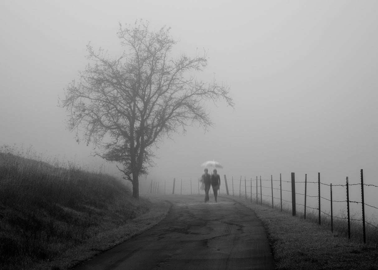 Foggy Road Poster och Canvastavla