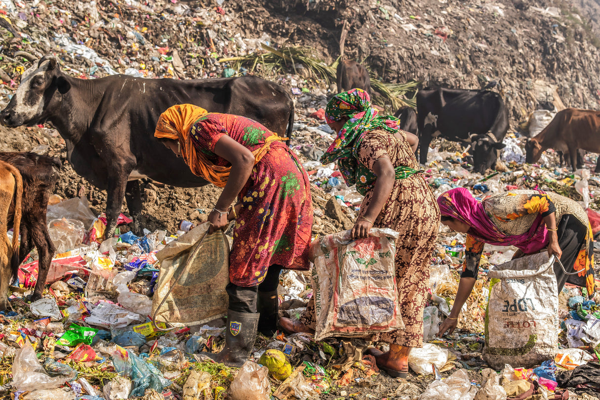 Cittagong garbage field Poster och Canvastavla