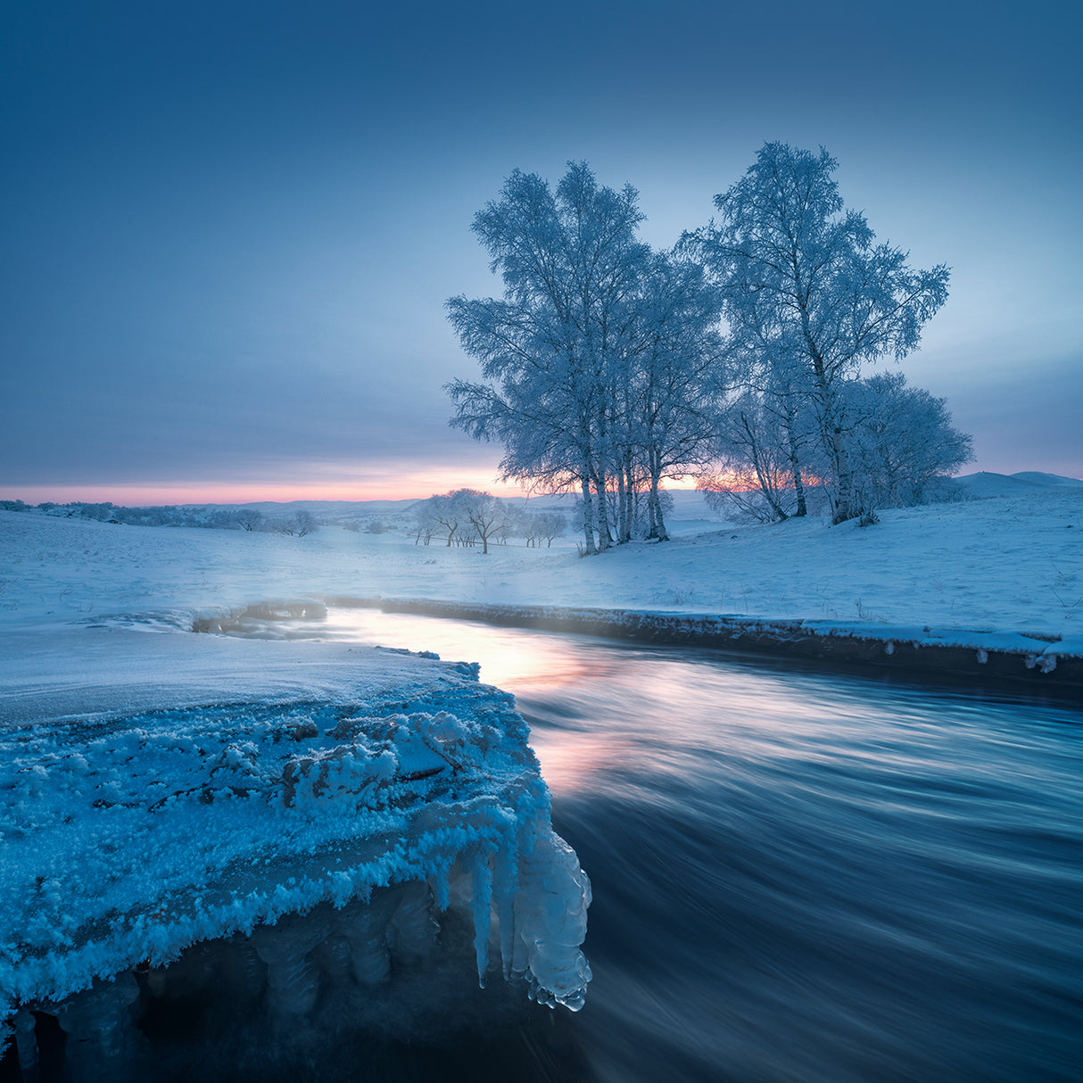 Sunrise in the East Poster och Canvastavla