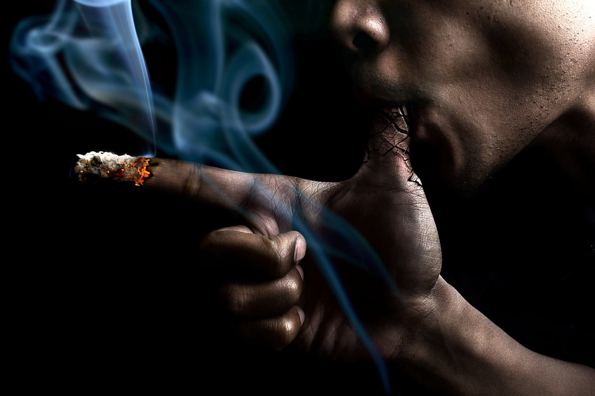 Stop Smoke Poster och Canvastavla