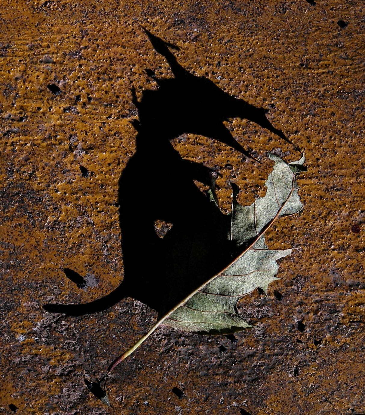 The Dragon Within Poster och Canvastavla