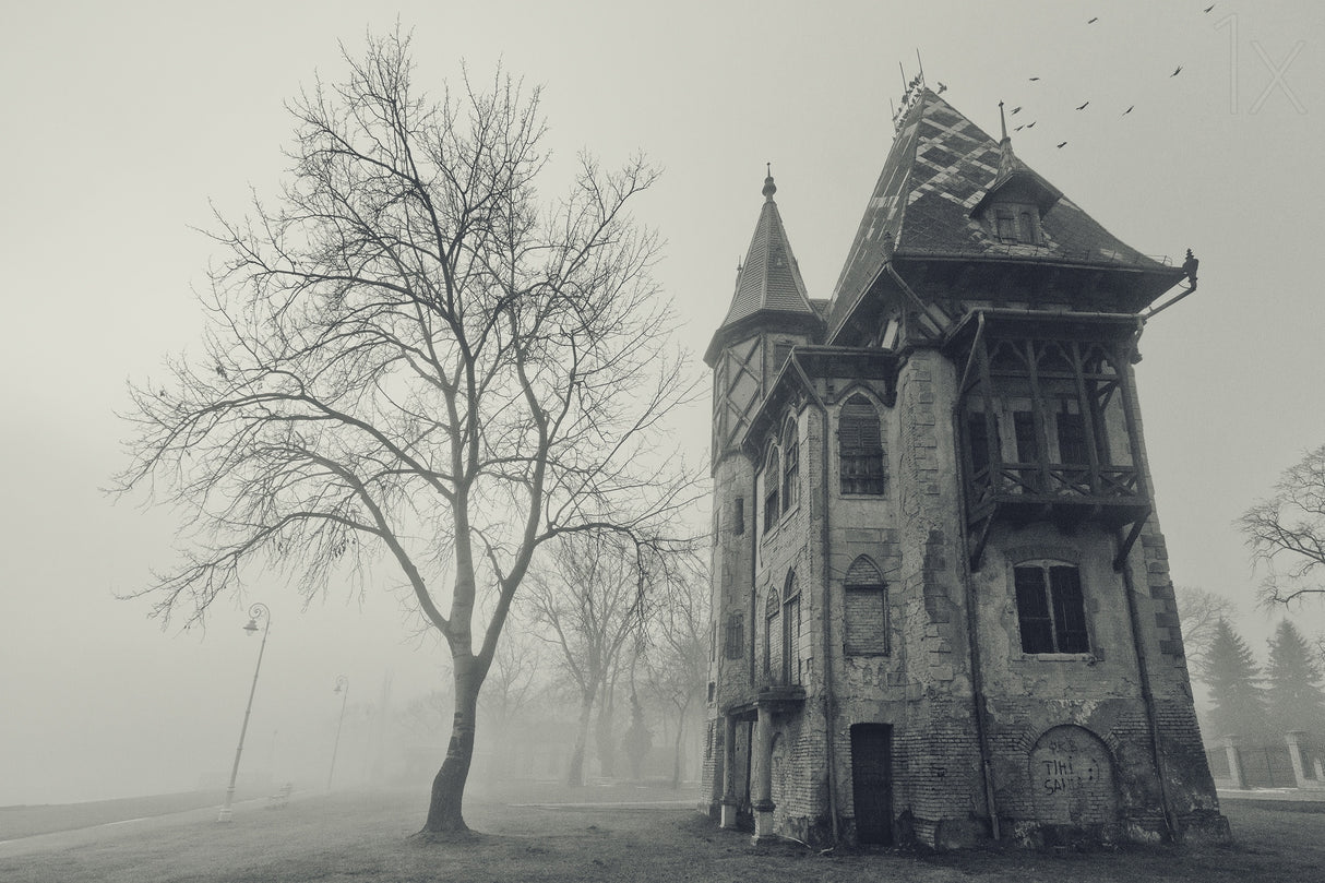 Spooky house Poster och Canvastavla
