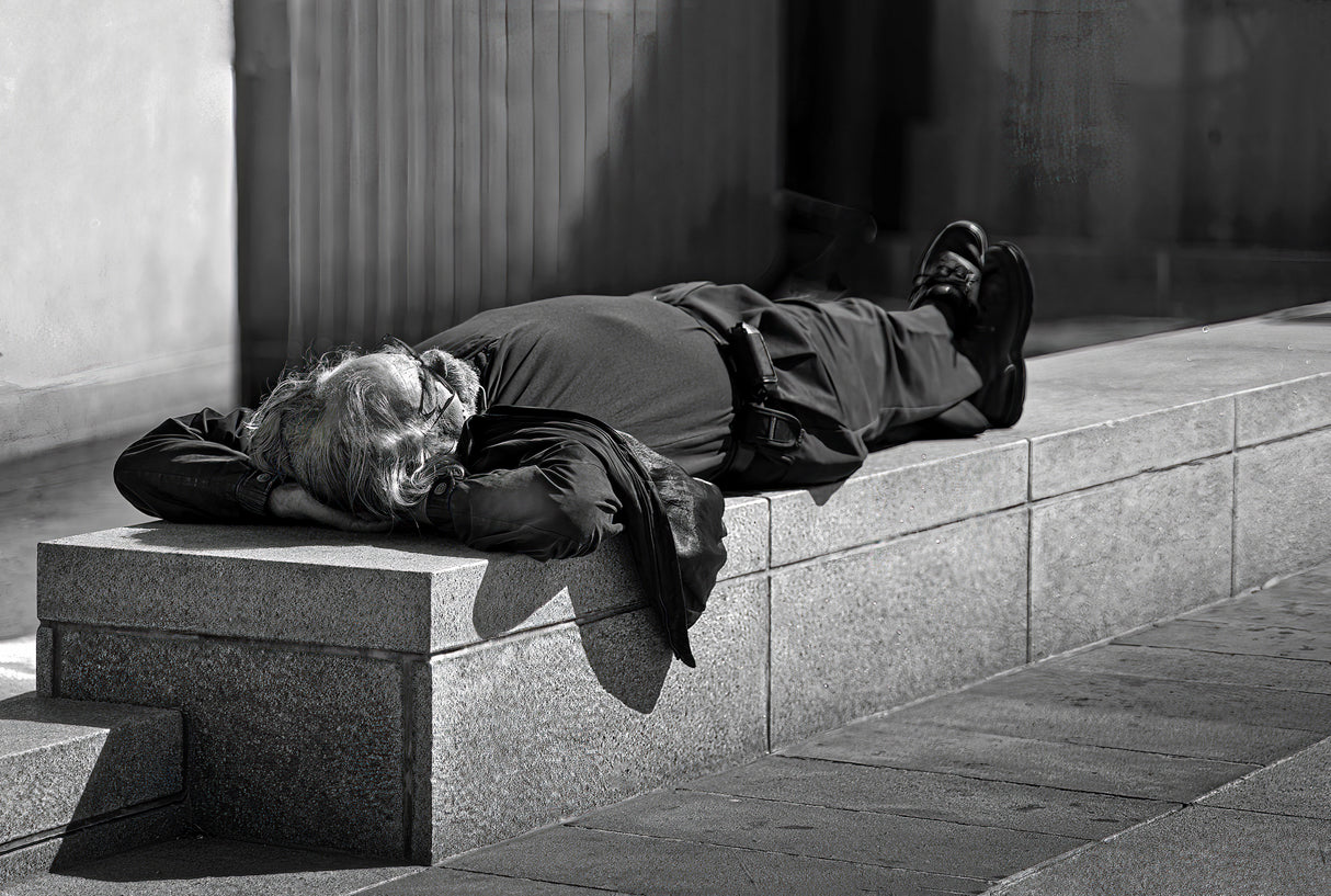 Lunch Nap. Poster och Canvastavla