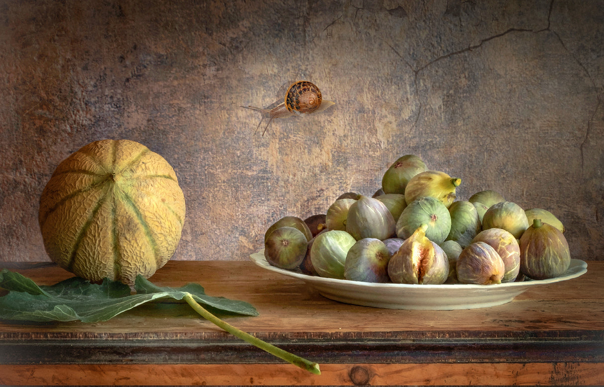 Still Life with Figs and Melon Poster och Canvastavla