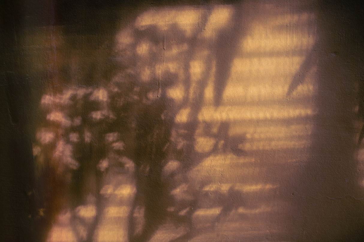 Wall with Shadows Poster och Canvastavla
