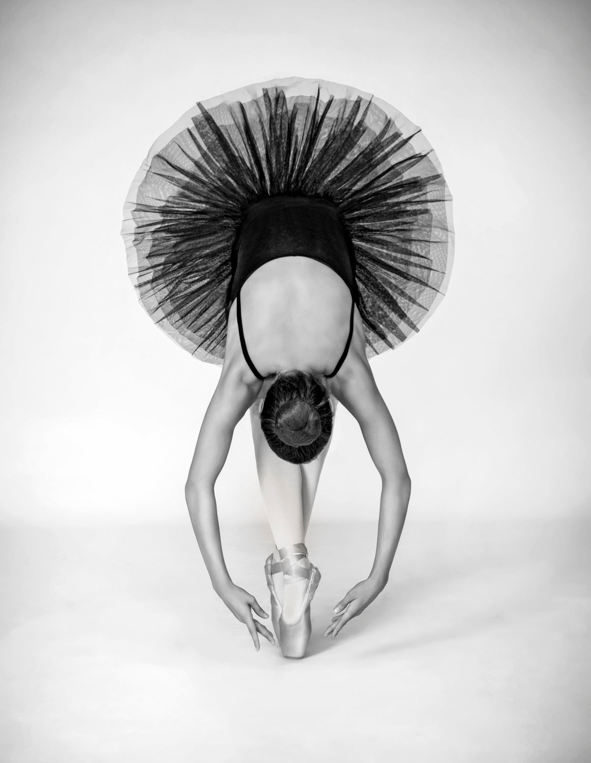 Ballet Technique Poster och Canvastavla