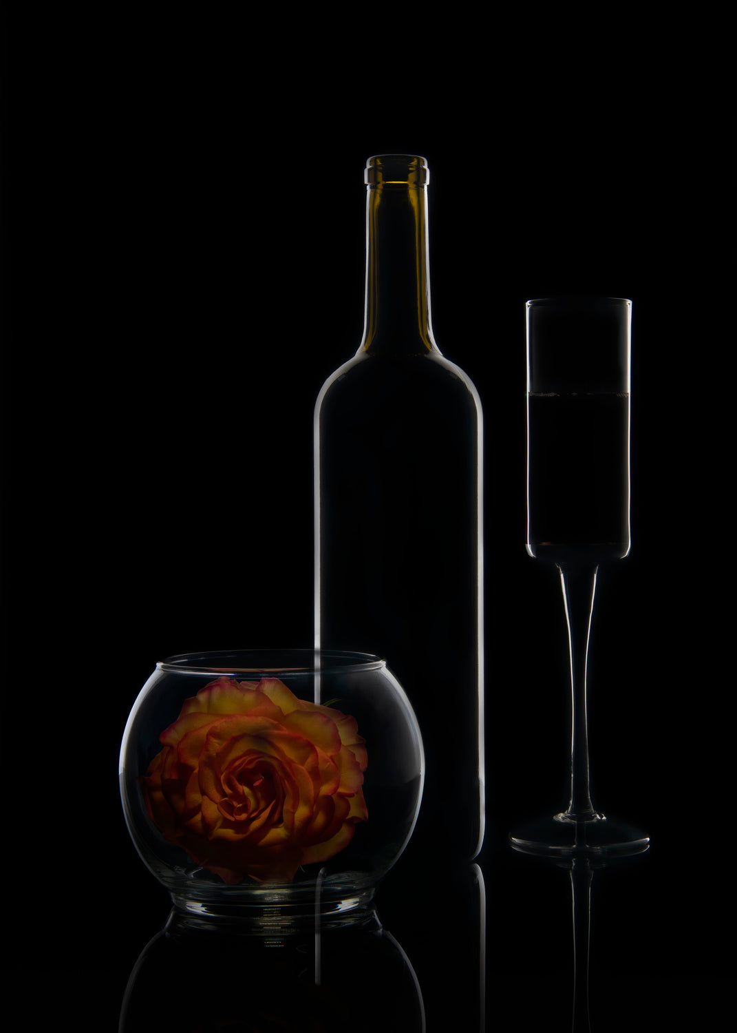 night rose Poster och Canvastavla