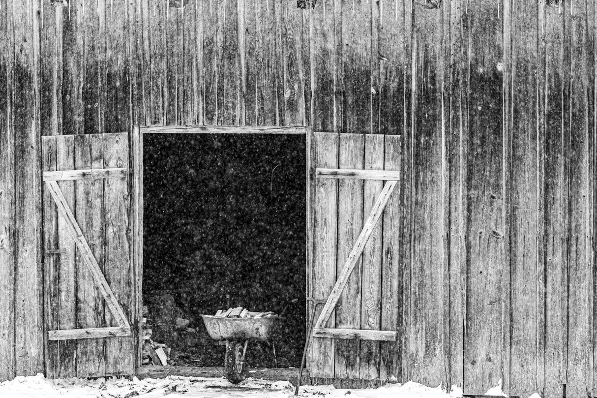 Snow Poster och Canvastavla
