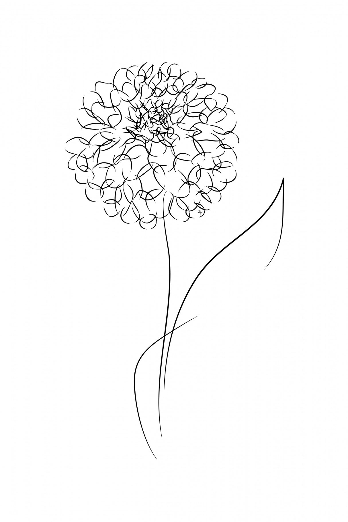 Line Bloom Poster och Canvastavla