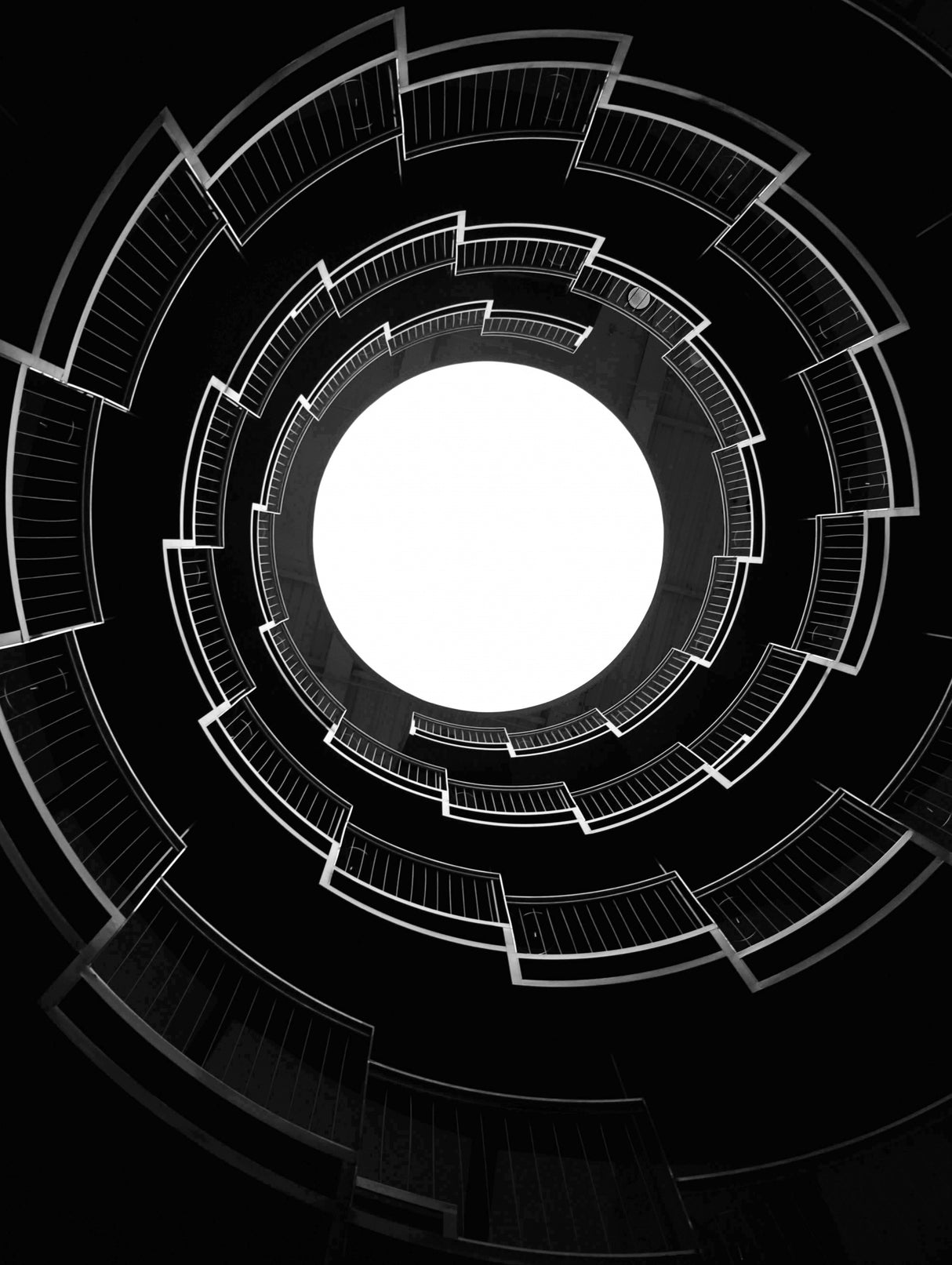 The spiral design Poster och Canvastavla