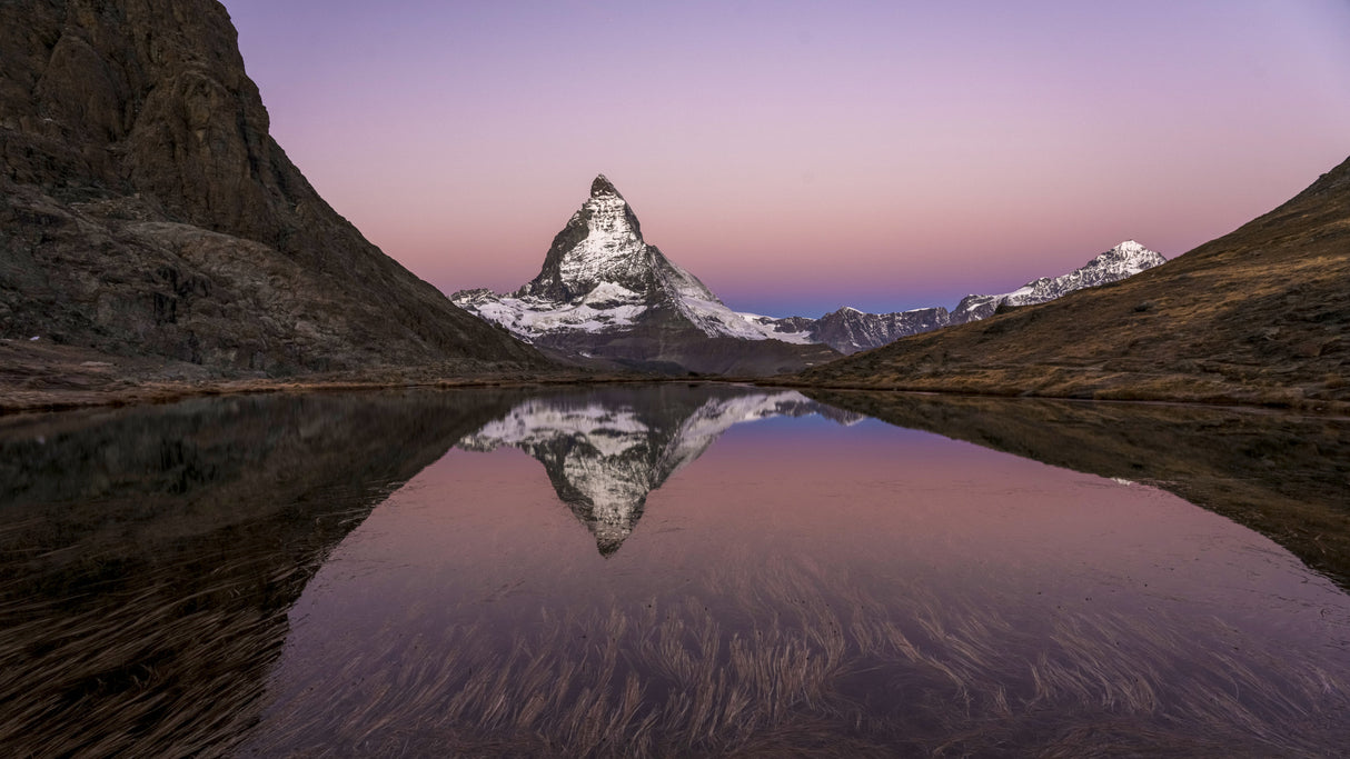 Matterhorn pink morning Poster och Canvastavla